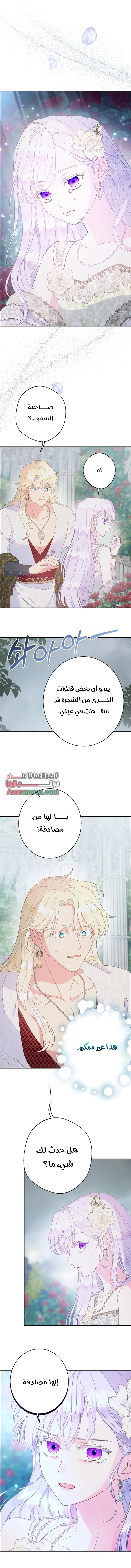 Read Forget My Husband I’ll Go Make Money AR Manga Online