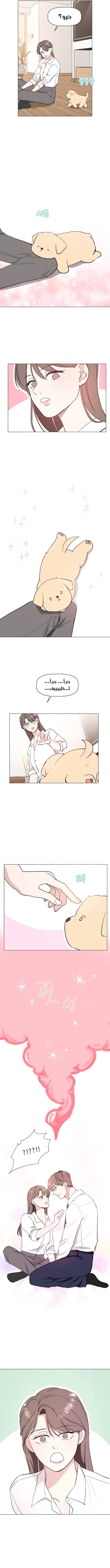 Read How to Hold X’s Leash AR Manga Online