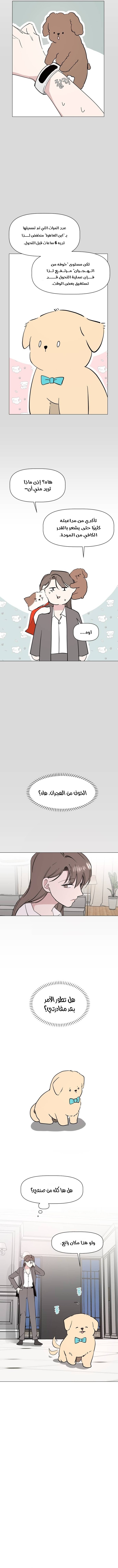 Read How to Hold X’s Leash AR Manga Online