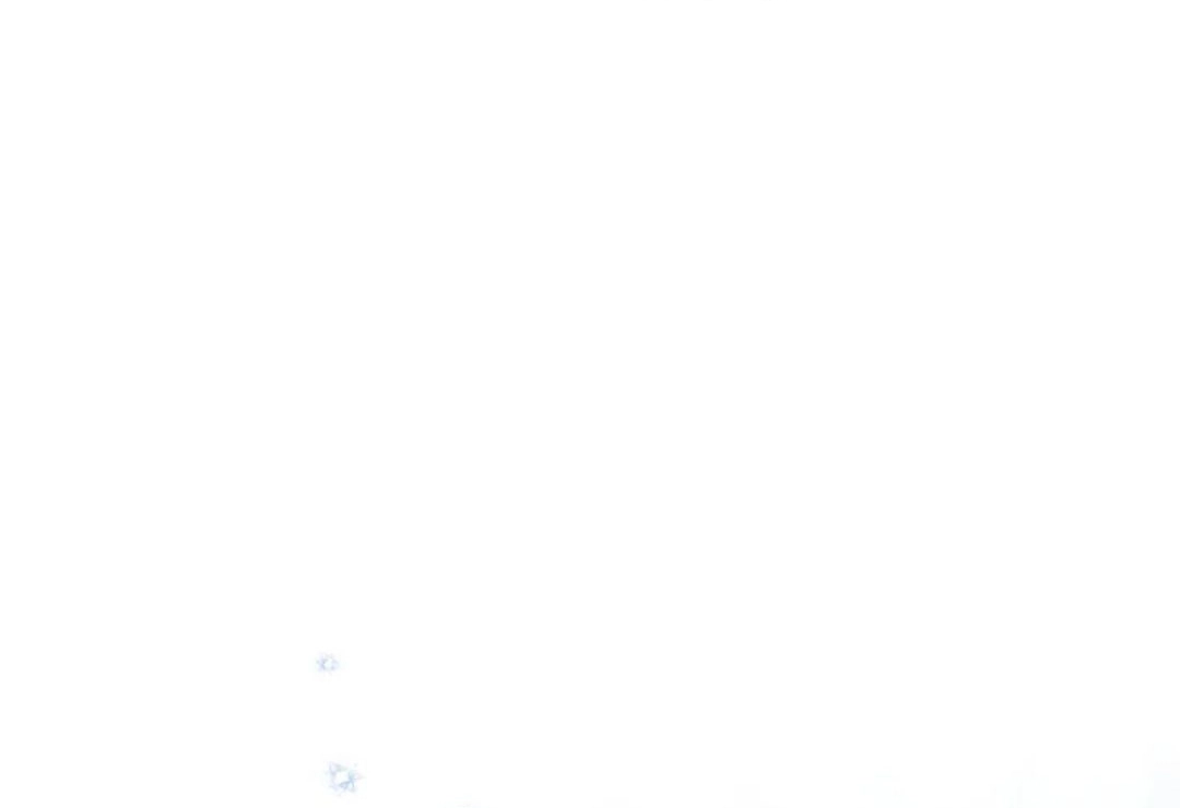 Read In This Life I Will Be The Lord AR Manga Online