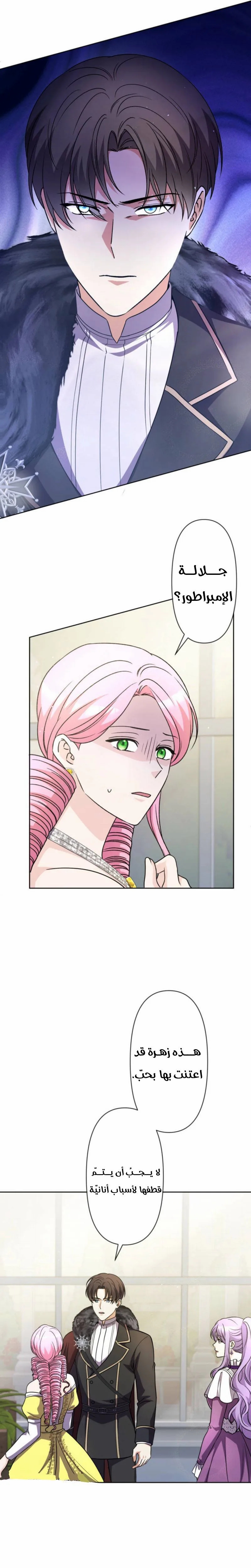 Read Leaving for My Younger Husband’s Future A Divorce Decision AR Manga Online