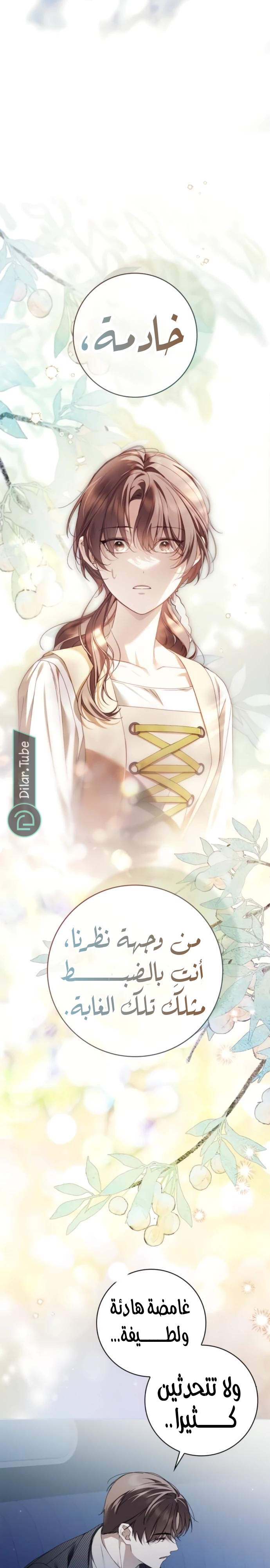 Read The Count's Secret Maid AR Manga Online