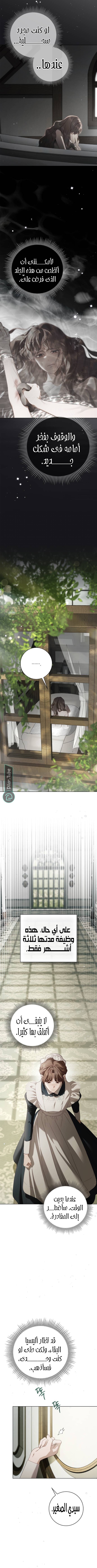 Read The Count's Secret Maid AR Manga Online