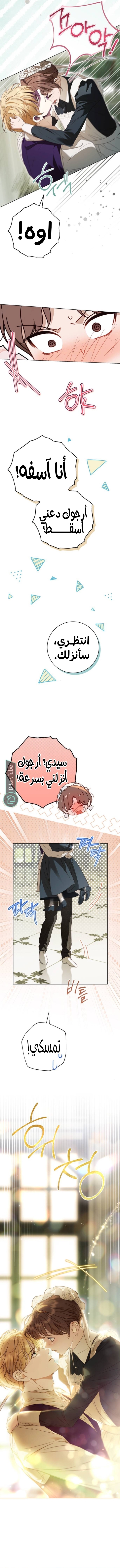 Read The Count's Secret Maid AR Manga Online