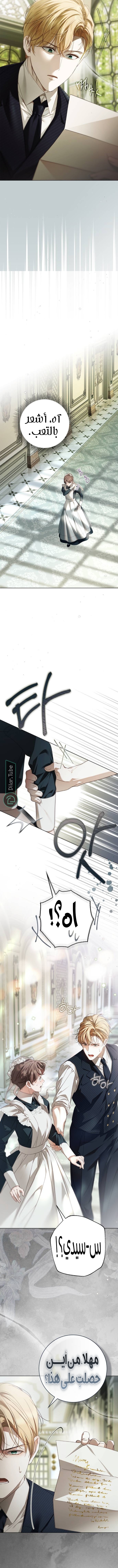 Read The Count's Secret Maid AR Manga Online