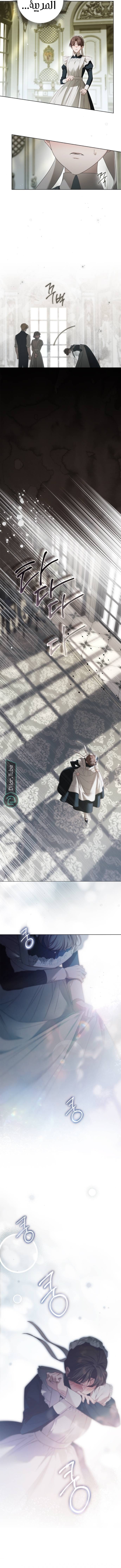 Read The Count's Secret Maid AR Manga Online