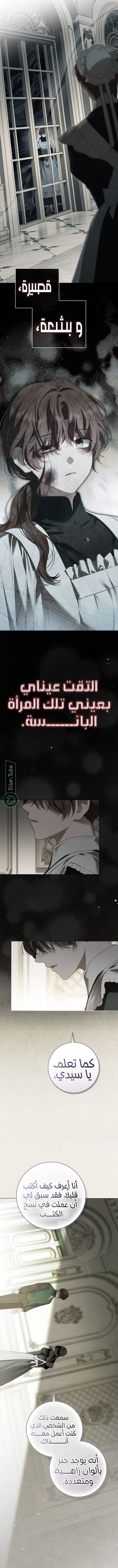 Read The Count's Secret Maid AR Manga Online