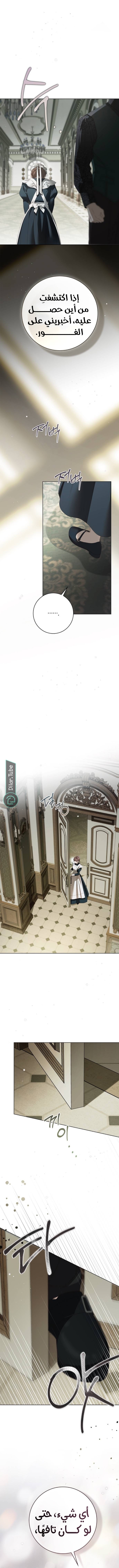 Read The Count's Secret Maid AR Manga Online