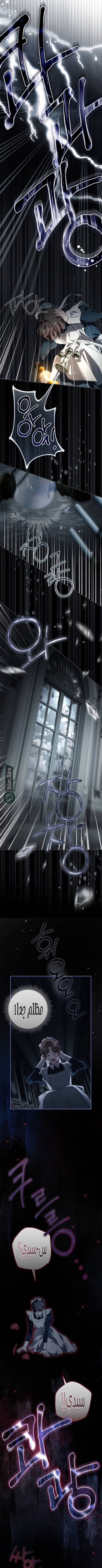 Read The Count's Secret Maid AR Manga Online