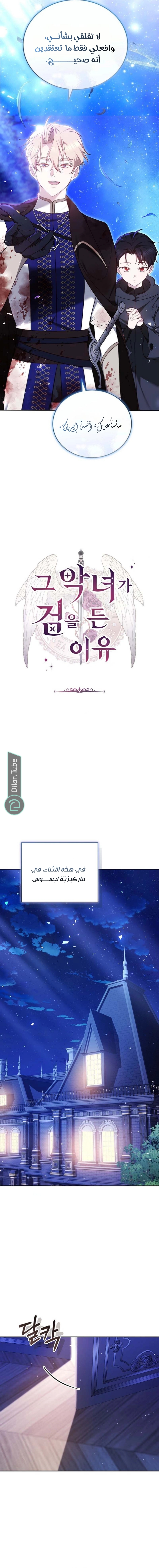 Read The Reason Why That Villainess Picked up a Sword AR Manga Online