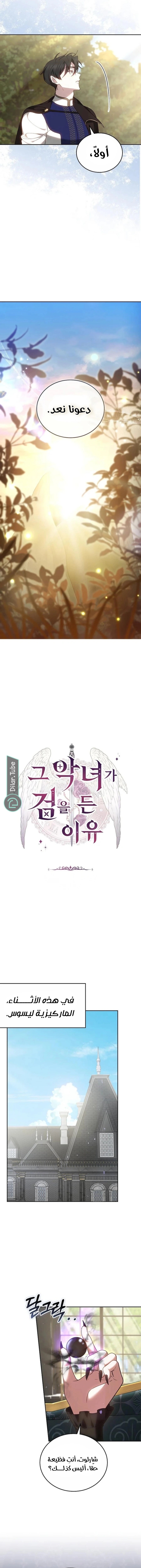 Read The Reason Why That Villainess Picked up a Sword AR Manga Online