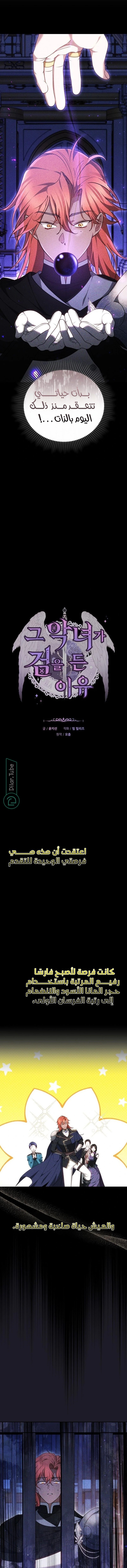 Read The Reason Why That Villainess Picked up a Sword AR Manga Online