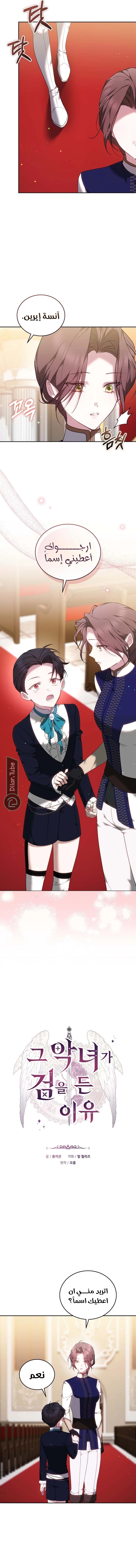 Read The Reason Why That Villainess Picked up a Sword AR Manga Online