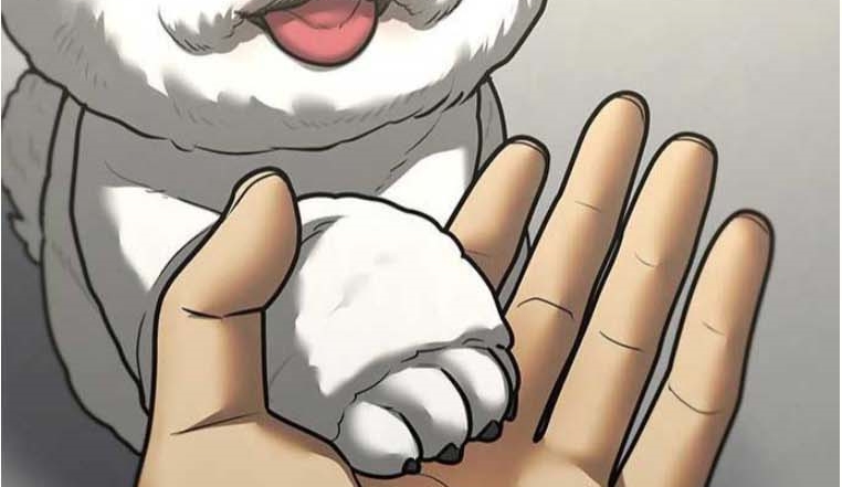 Read reality quest AR Manga Online