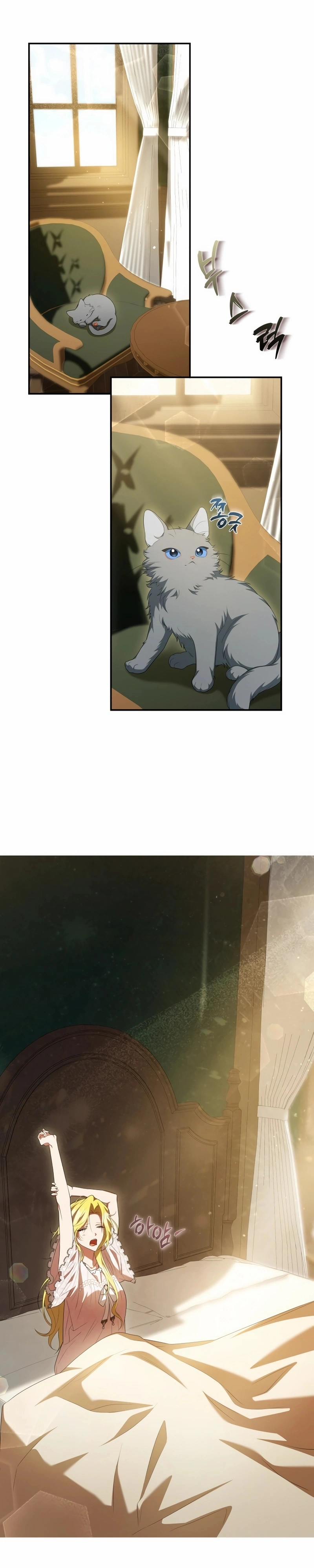 Read Nosso casamento por contrato acaba aqui PT Manga Online