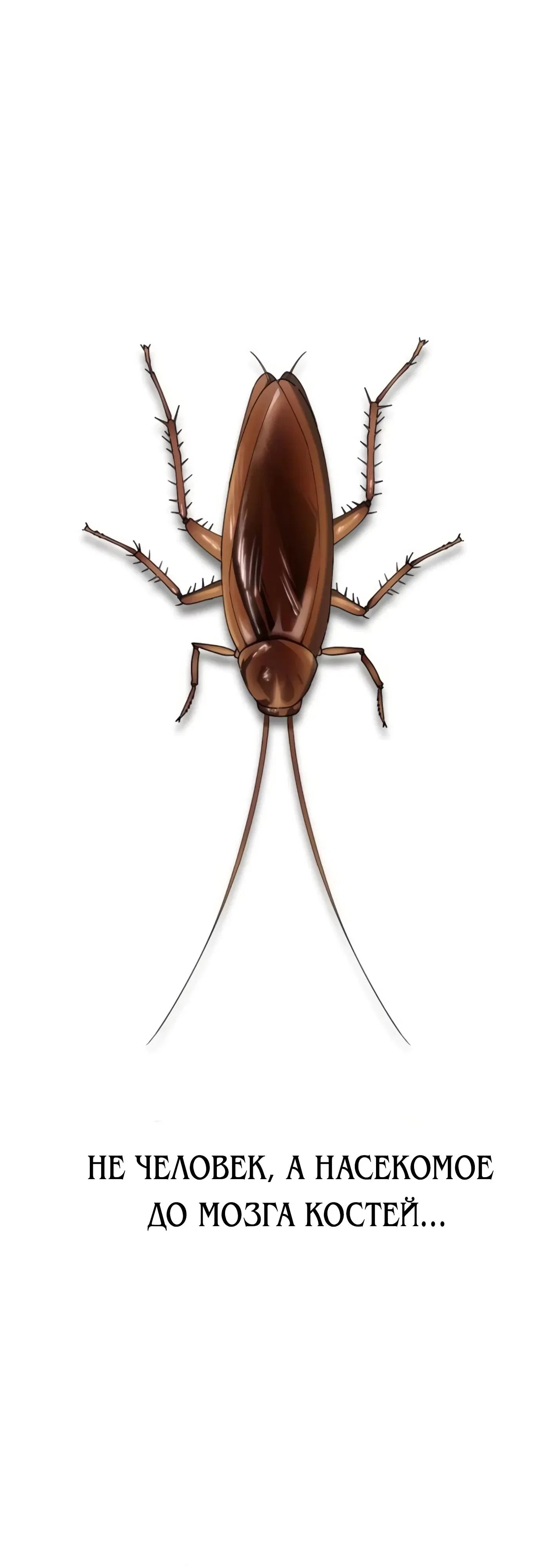 Read Гений ненавидит переработки RU Manga Online