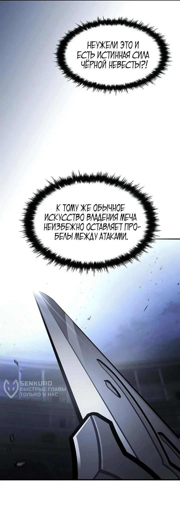 Read Мастер меча пожирающий мечи RU Manga Online