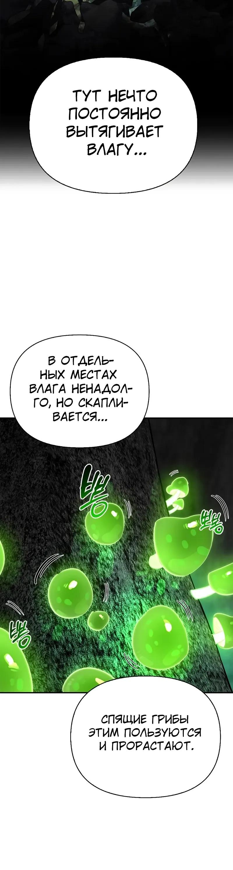 Read Охотник S класса который лечит монстров RU Manga Online