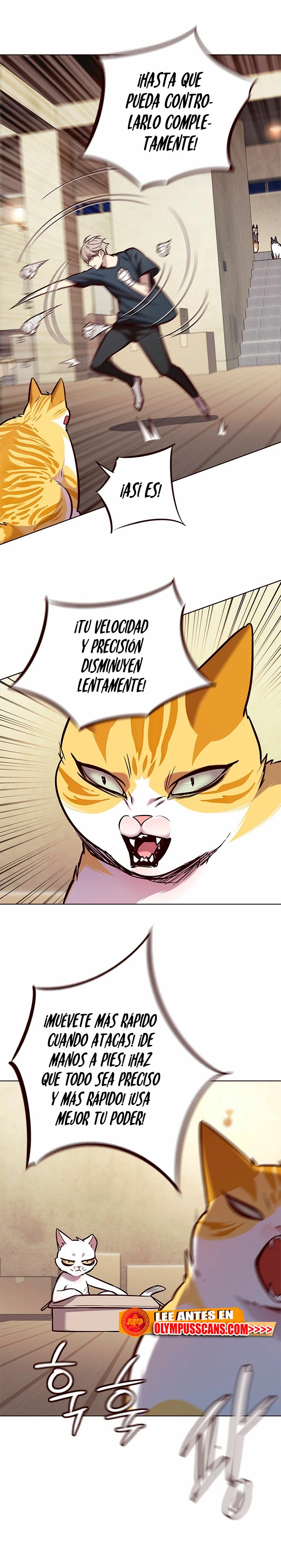 Read Academia de la Ascensión ES Manga Online