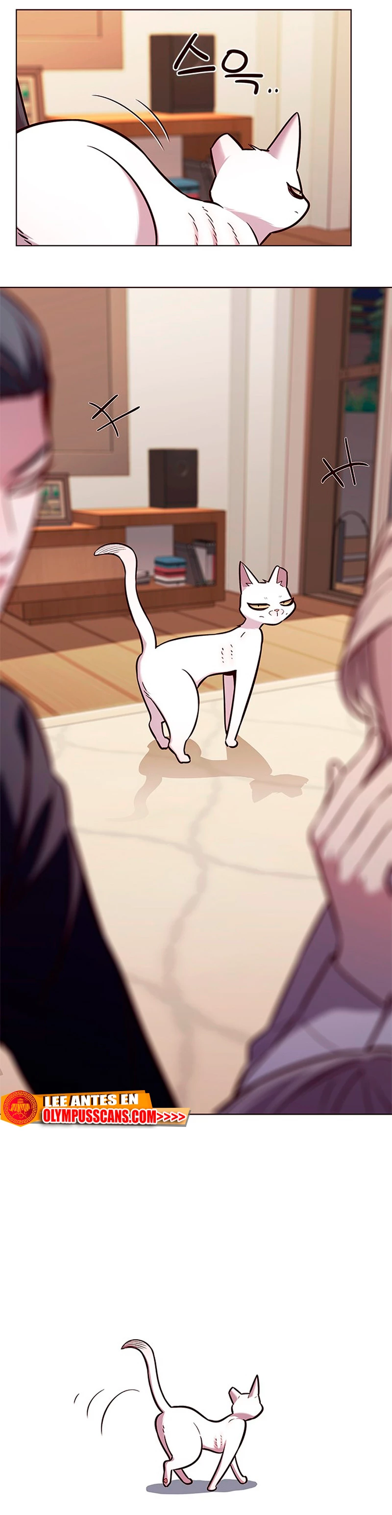 Read Academia de la Ascensión ES Manga Online