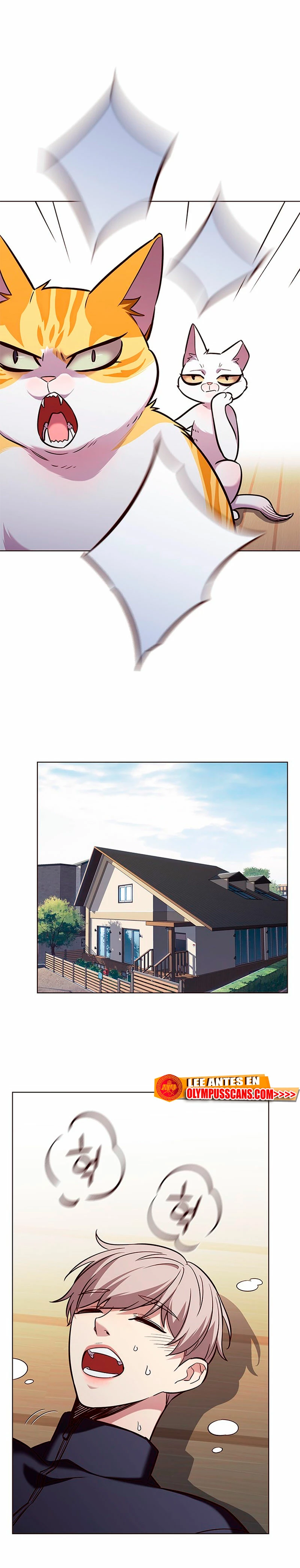 Read Academia de la Ascensión ES Manga Online