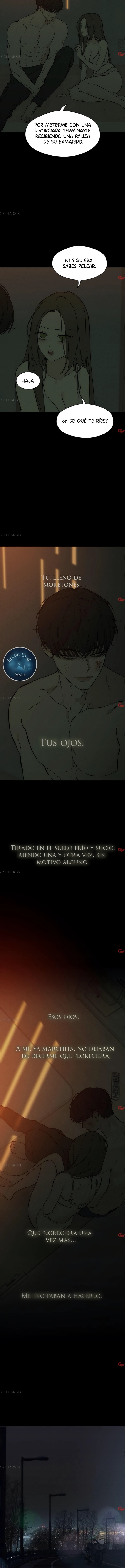 Read Lágrimas Sobre Una Flor Que Está Marchita ES Manga Online