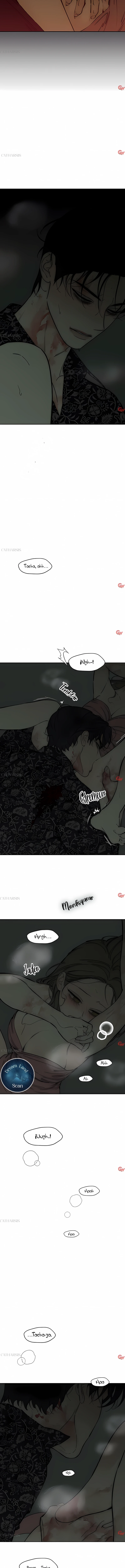 Read Lágrimas Sobre Una Flor Que Está Marchita ES Manga Online