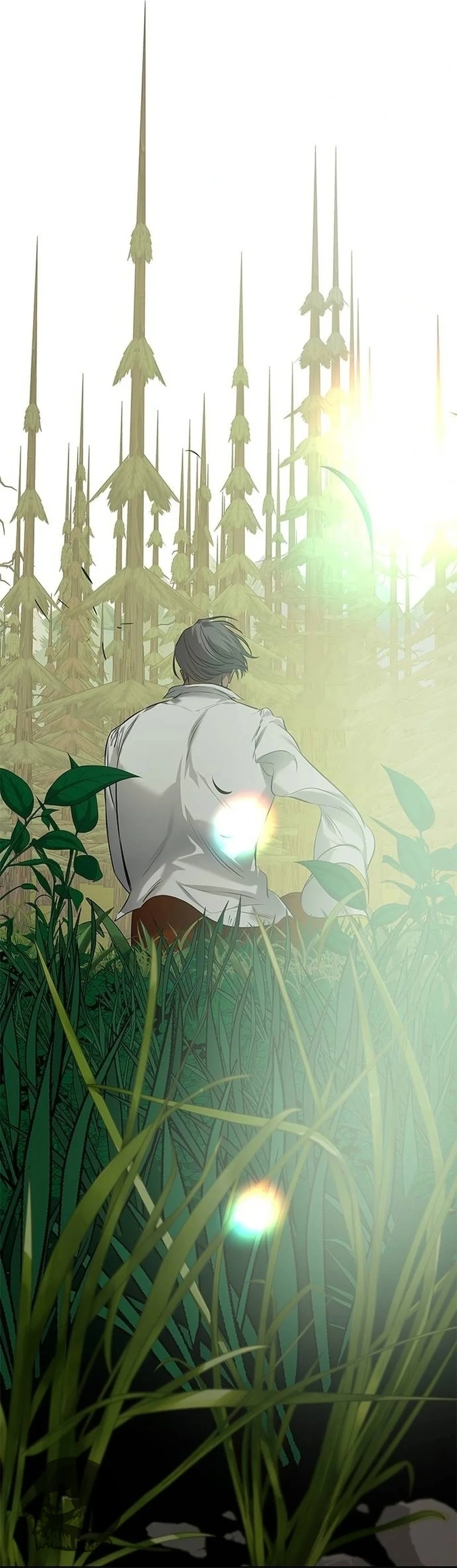 Read OLGAMI ES Manga Online