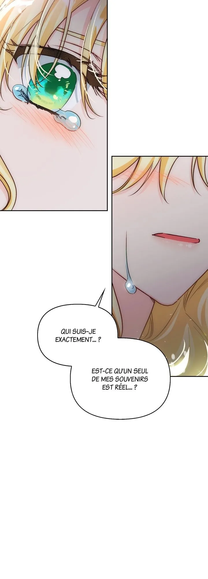 Read A Villainess for the Tyrant FR Manga Online