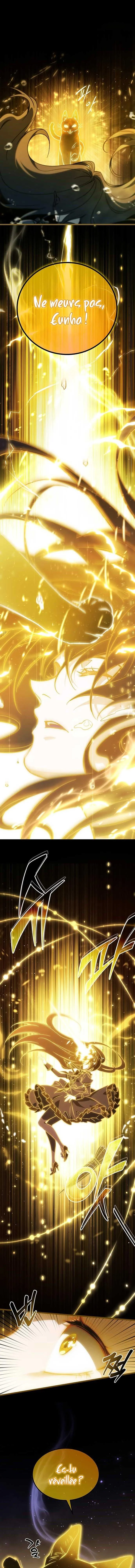 Read LV 99 The Princess of Dark Flare FR Manga Online