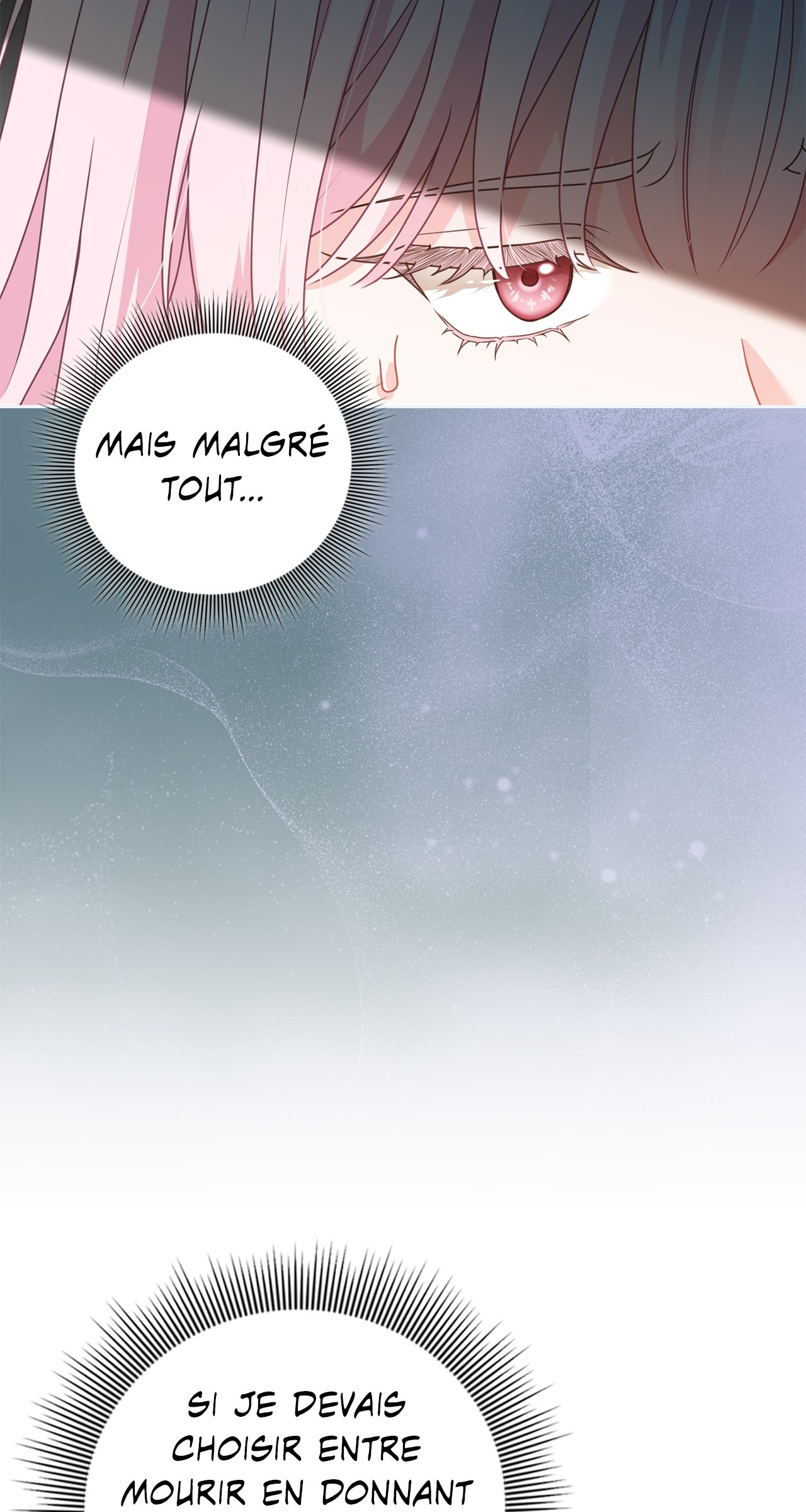 Read Must the Reincarnated Mother Always Die FR Manga Online