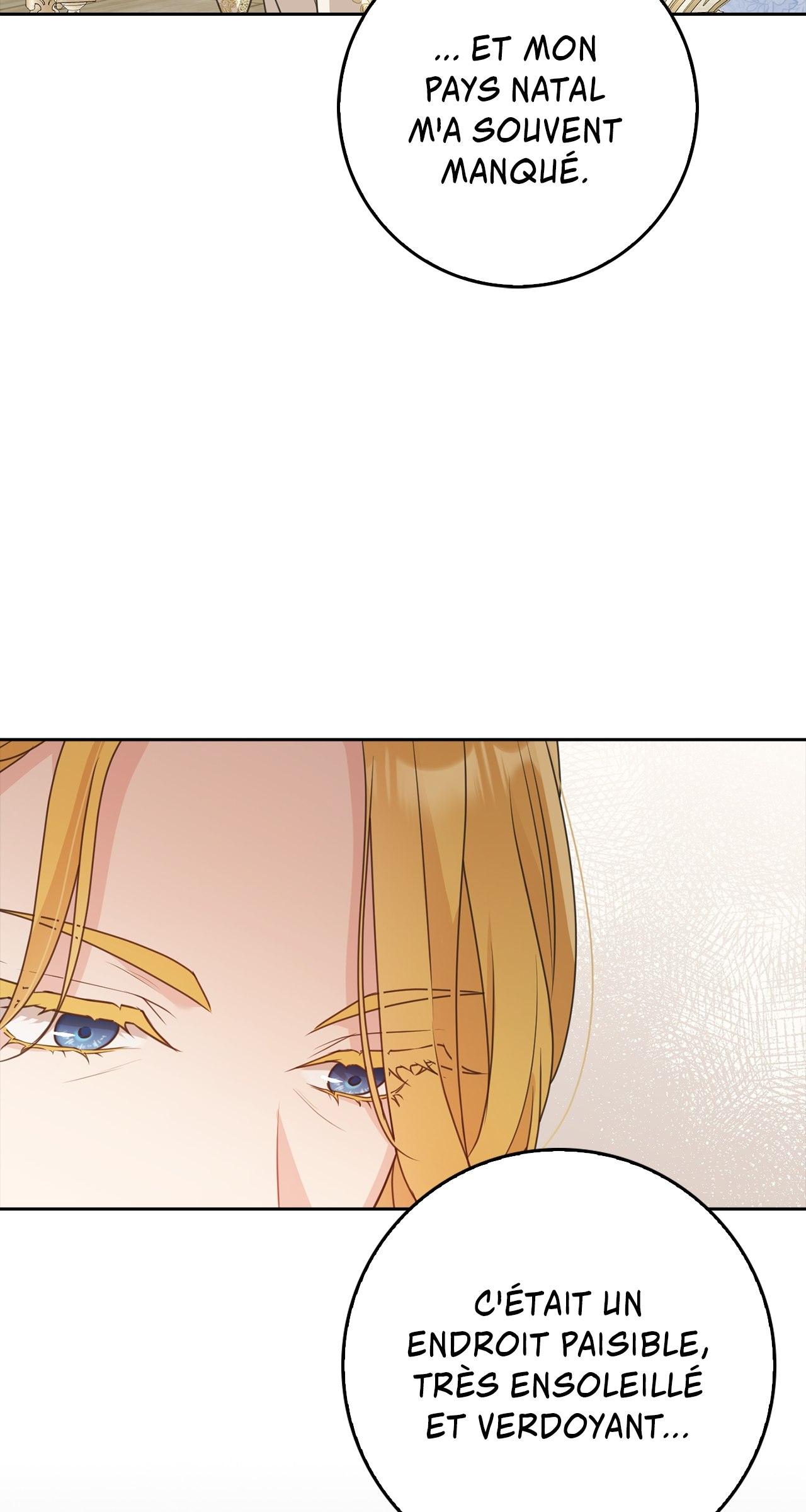 Read Must the Reincarnated Mother Always Die FR Manga Online