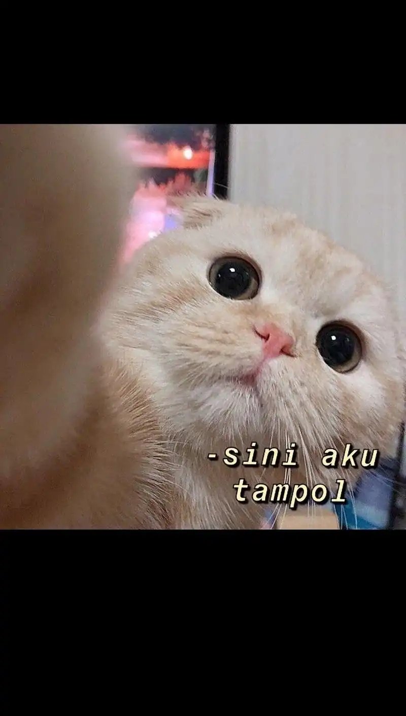 Read Leveling Up with Skills Skill Master Levels Up ID Manga Online